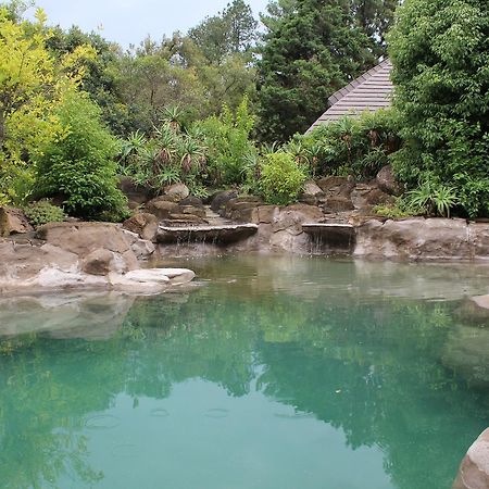 Champagne ValleyTreks, Trips And Trails别墅 外观 照片
