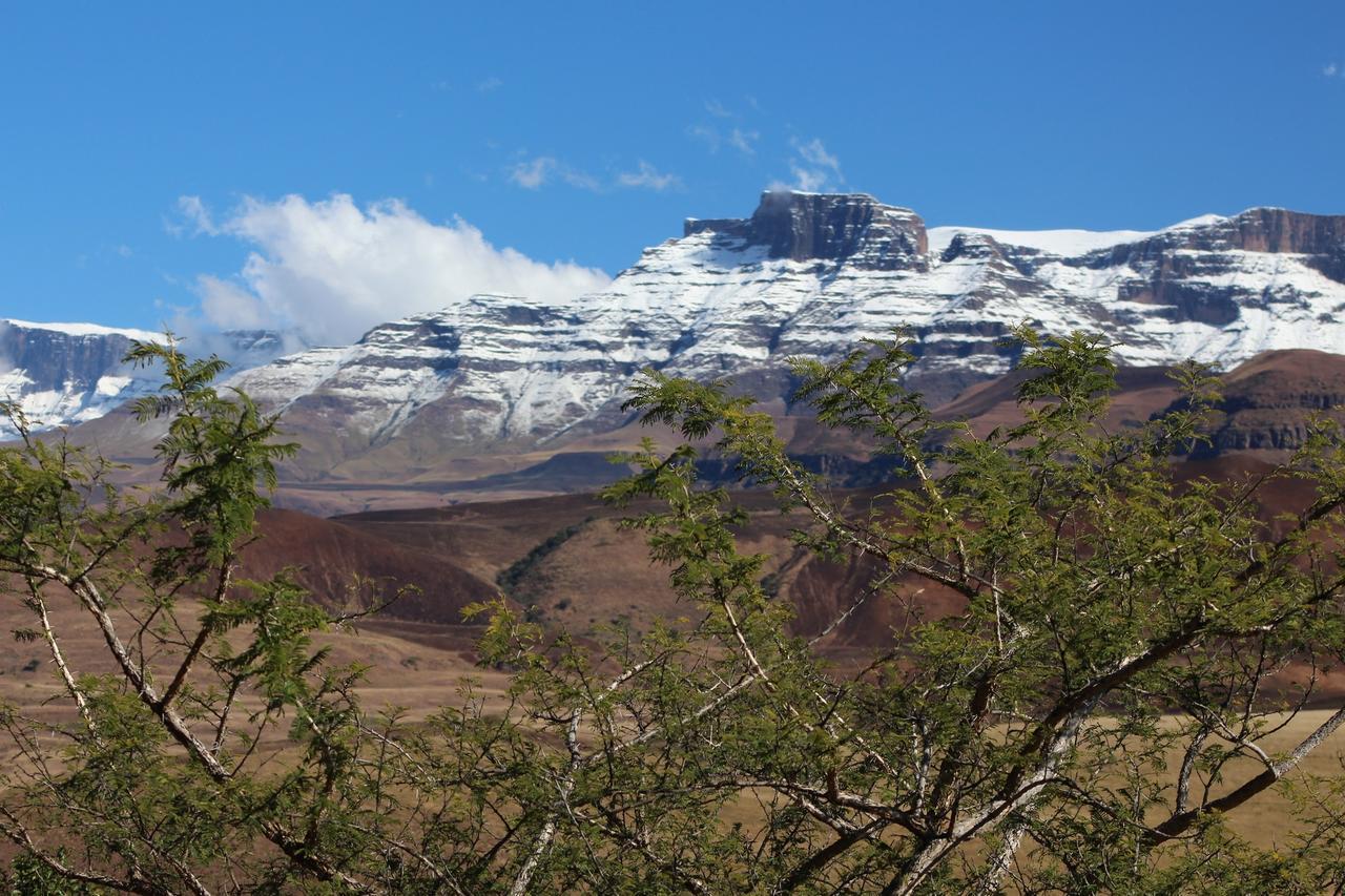 Champagne ValleyTreks, Trips And Trails别墅 外观 照片